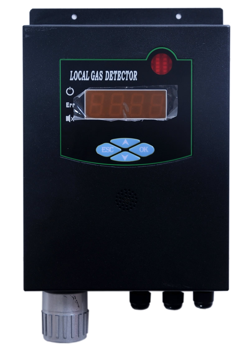 DH300-CO壁挂式一氧化碳检测仪